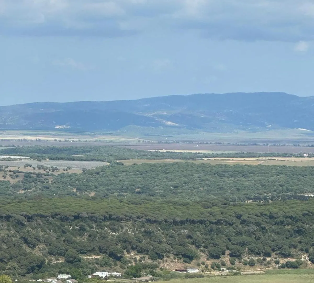 Апартаменты Alminar De Sol Вьер де ла Фронтера Испания